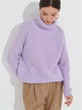 Autumn Warm Macaron Color High Collar Knitted Sweater for Lady