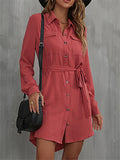 Ladies Button Lace-Up French Style A-line Blouse Dress