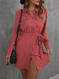 Ladies Button Lace-Up French Style A-line Blouse Dress