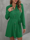 Ladies Button Lace-Up French Style A-line Blouse Dress