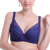 Women's Plus Size Minimizer Busty Lace Bras - Blue