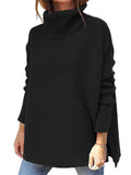 Stylish Turtle Neck Bat Wing Sleeve Sweaters