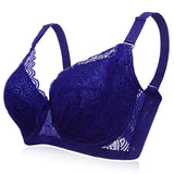 Women's Plus Size Minimizer Busty Lace Bras - Purple