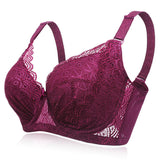 Women's Plus Size Minimizer Busty Lace Bras - Wine Red